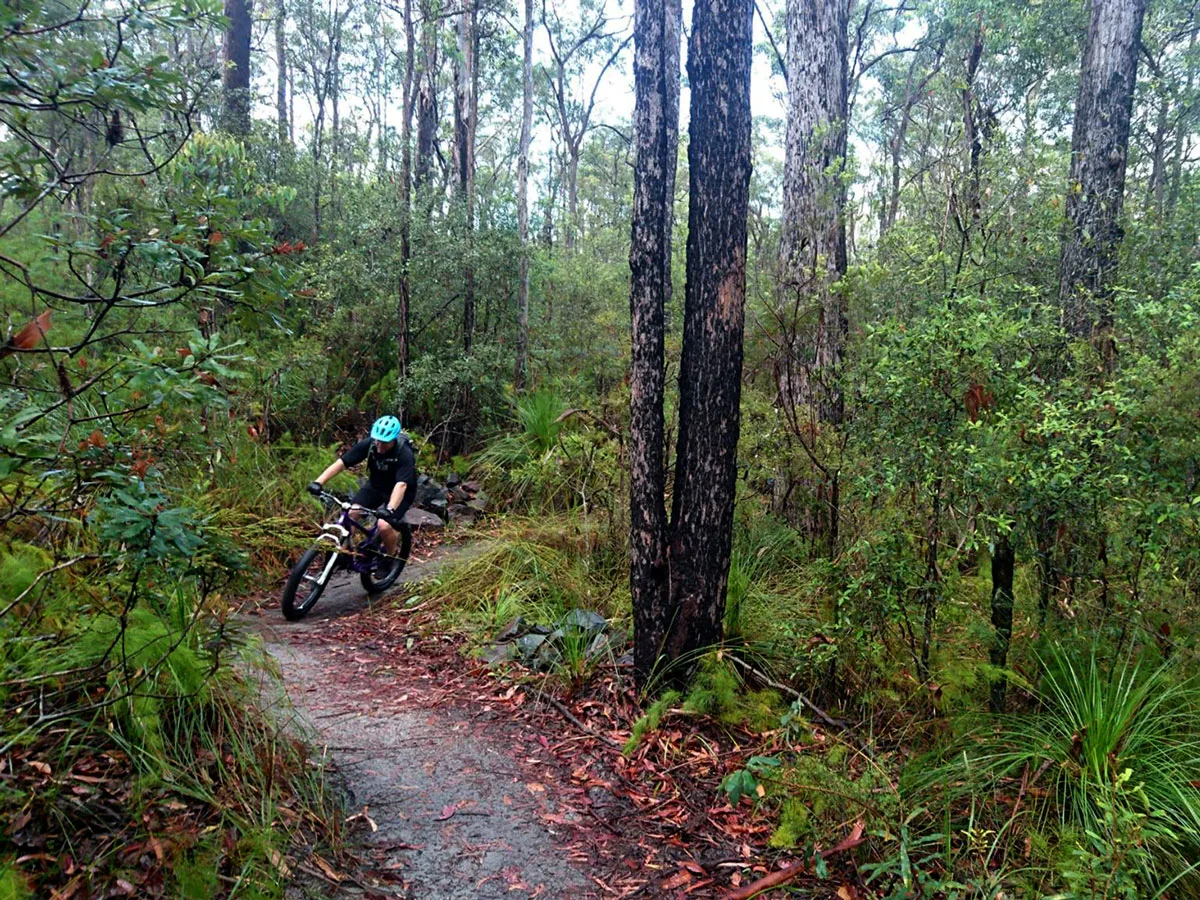 Mountain bike rider coming around a sweeping corner on a singletrack